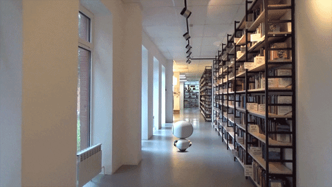Description du GIF